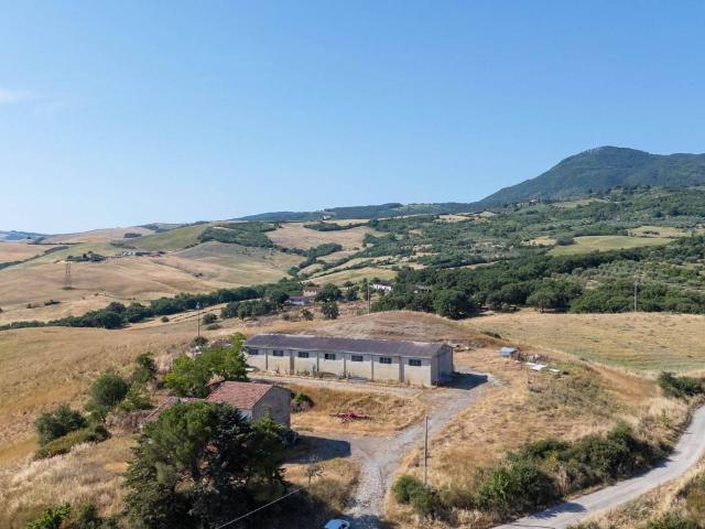 Rustico in vendita a Castiglione D'orcia, Toscana