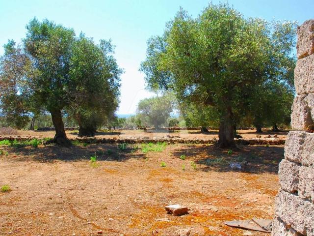 Rustico in vendita a Puglia, Lecce