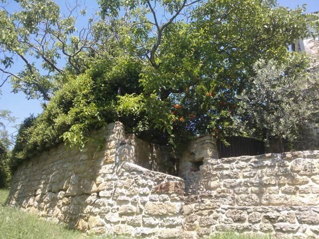 Rustico in vendita a Castrocaro Terme e Terra del Sole, Forlì-Cesena