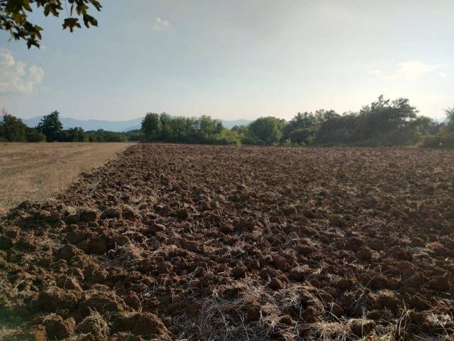 Rustico in vendita a Castrocielo, Lazio