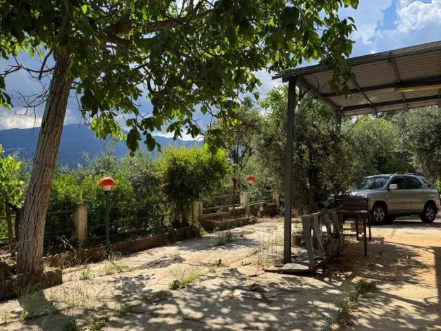 Rustico in vendita a Calabria, Cosenza