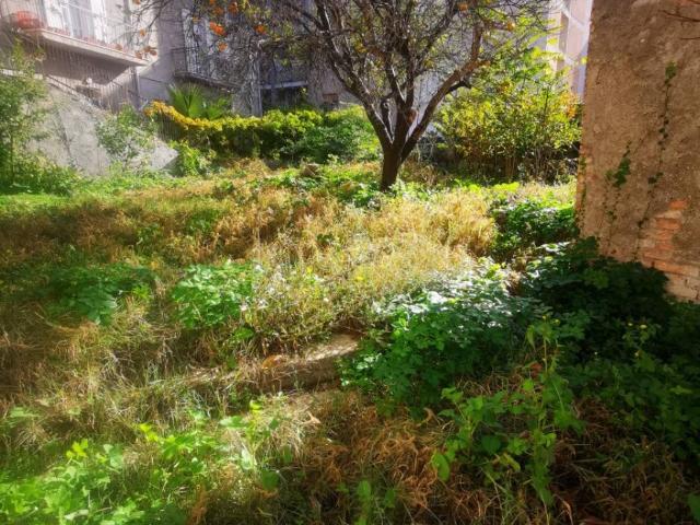 Rustico in vendita a Siano, Calabria