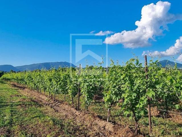 Rustico in vendita a Cavaion Veronese, Veneto