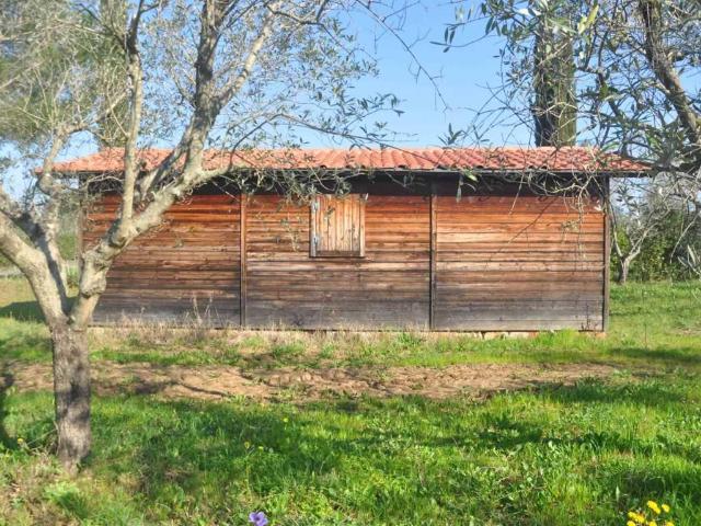 Rustico in vendita a Cecina, Toscana