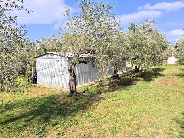 Rustico in vendita a Cecina, Toscana