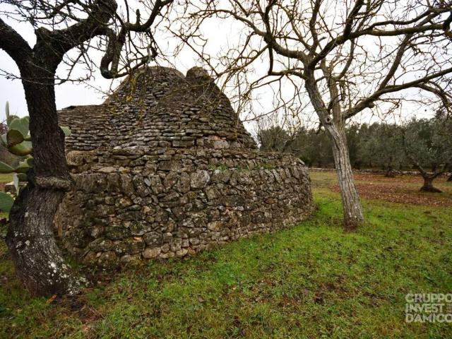 Rustico in vendita a Puglia, Brindisi