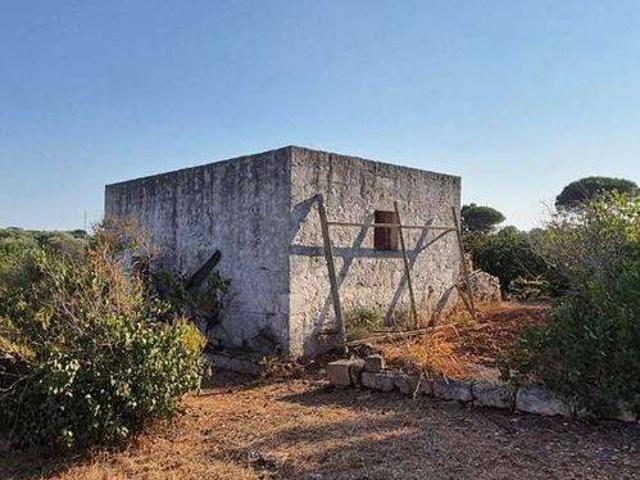 Rustico in vendita a Puglia, Brindisi