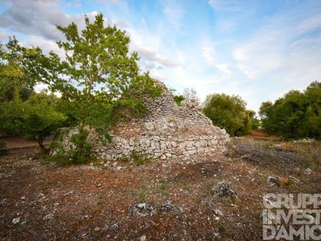 Rustico in vendita a Ceglie Messapica, Brindisi