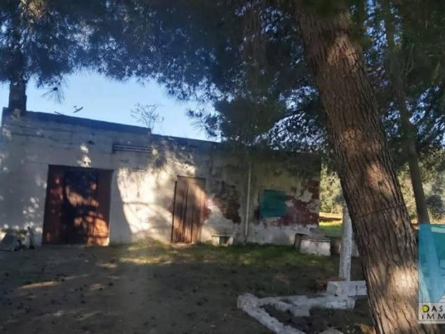 Rustico in vendita a Puglia, Brindisi