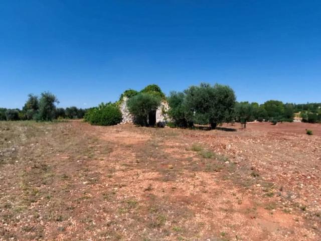 Rustico in vendita a Puglia, Brindisi