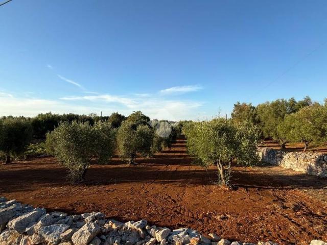 Rustico in vendita a Ceglie Messapica, Brindisi