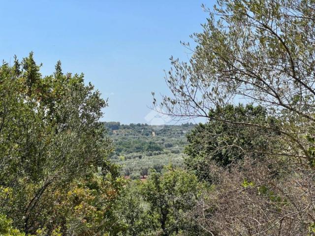 Rustico in vendita a Puglia, Brindisi