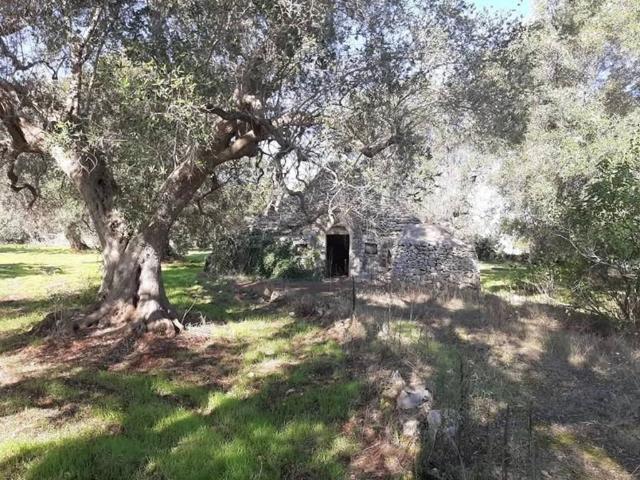 Rustico in vendita a Puglia, Brindisi