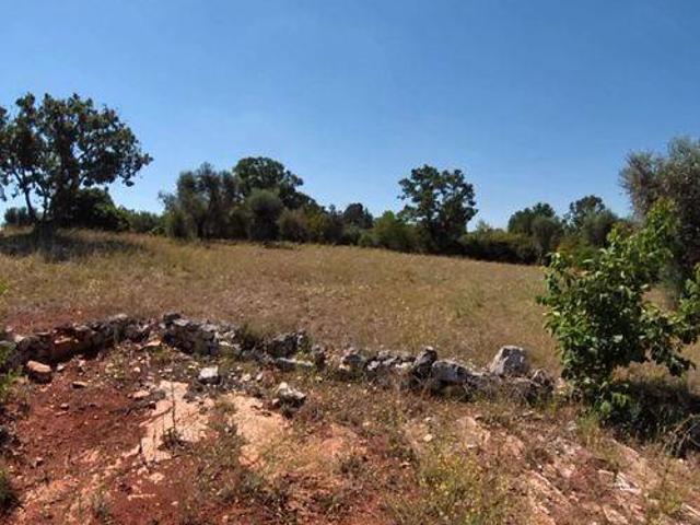 Rustico in vendita a Puglia, Brindisi