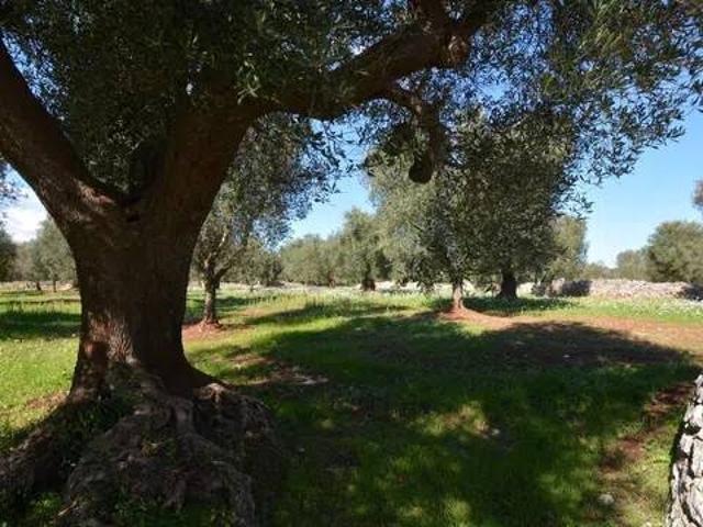 Rustico in vendita a Puglia, Brindisi