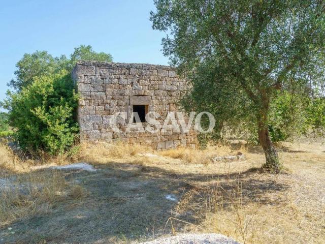 Rustico in vendita a Puglia, Brindisi
