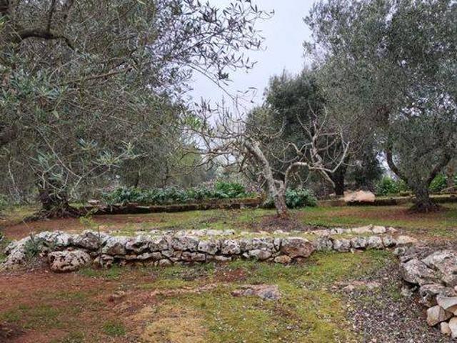 Rustico in vendita a Puglia, Brindisi