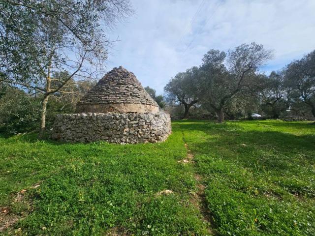 Rustico in vendita a Puglia, Brindisi