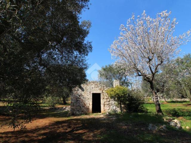 Rustico in vendita a Puglia, Brindisi
