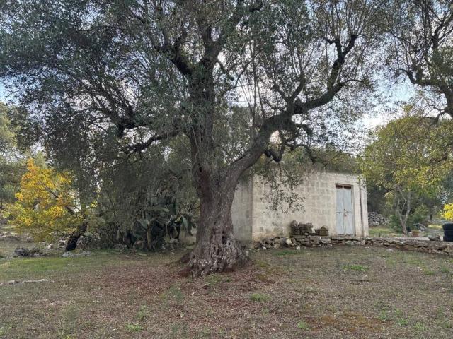 Rustico in vendita a Puglia, Brindisi