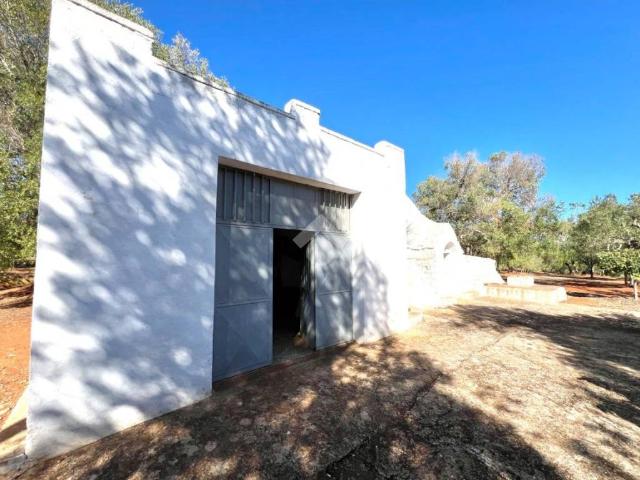 Rustico in vendita a Puglia, Brindisi