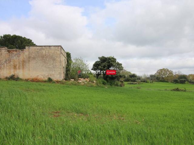 Rustico in vendita a Puglia, Brindisi