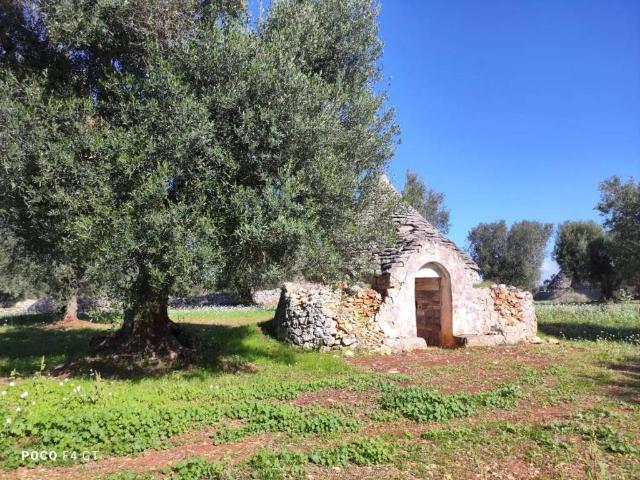 Rustico in vendita a Puglia, Brindisi
