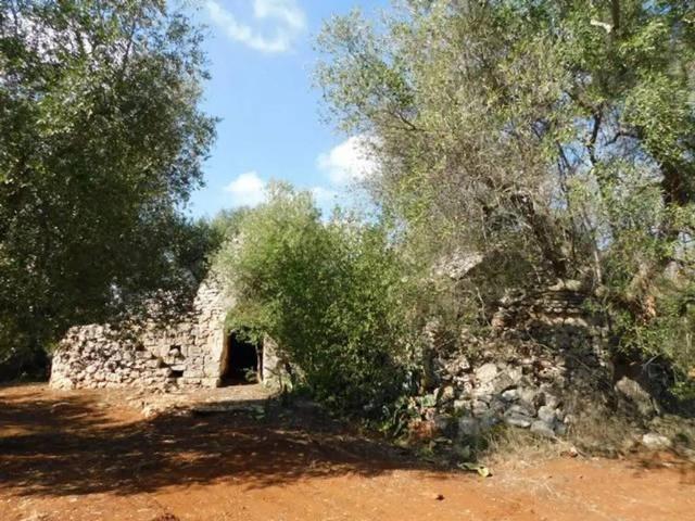 Rustico in vendita a Puglia, Brindisi