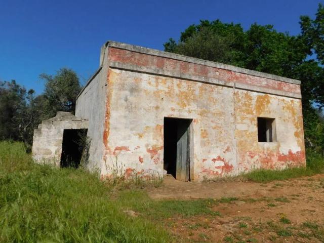 Rustico in vendita a Puglia, Brindisi