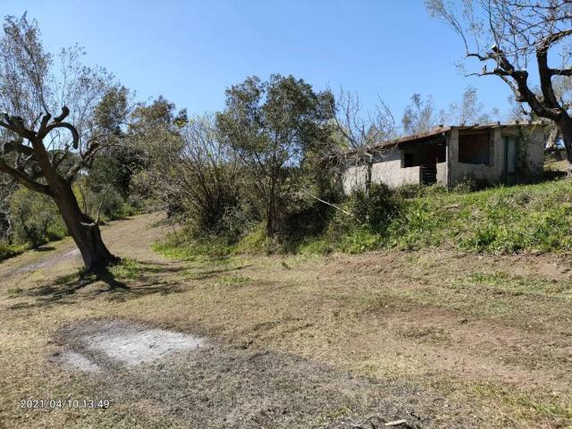 Rustico in vendita a Centola, Campania