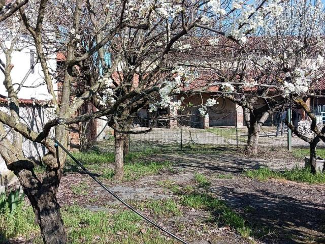 Rustico in vendita a Piemonte, Novara
