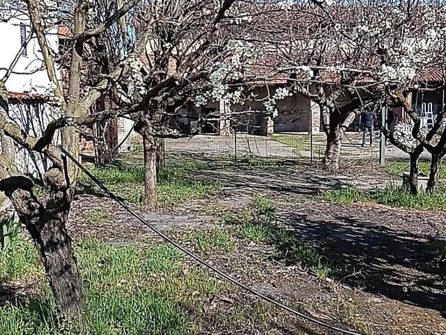 Rustico in vendita a Piemonte, Novara
