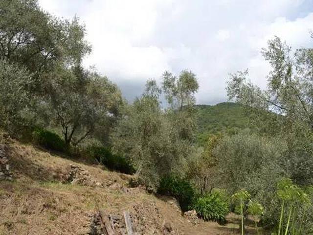 Rustico in vendita a Baiardo, Liguria