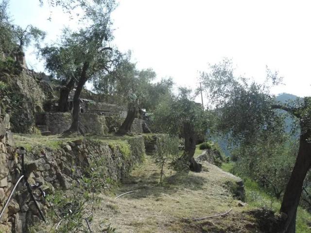 Rustico in vendita a Baiardo, Liguria