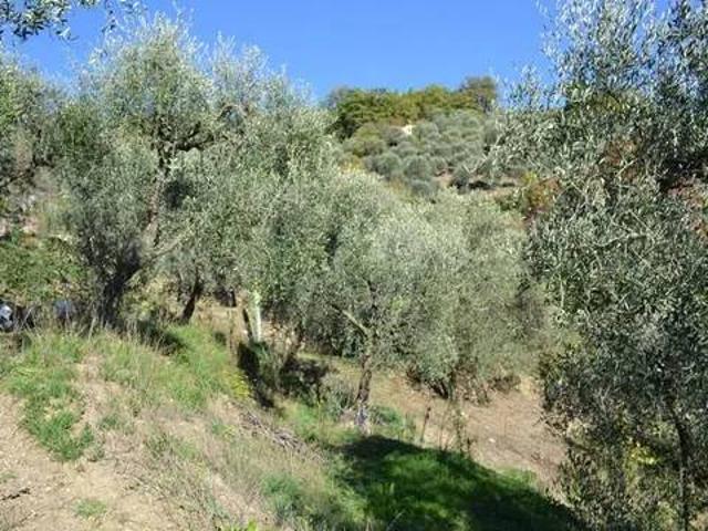 Rustico in vendita a Baiardo, Liguria