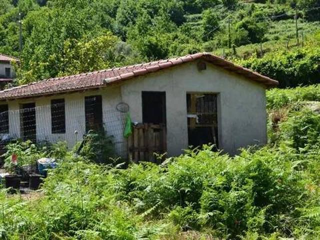 Rustico in vendita a Baiardo, Liguria