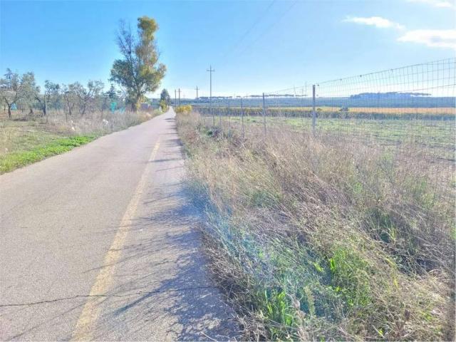 Rustico in vendita a Puglia, Foggia