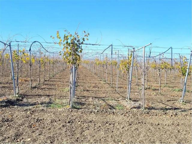 Rustico in vendita a Puglia, Foggia