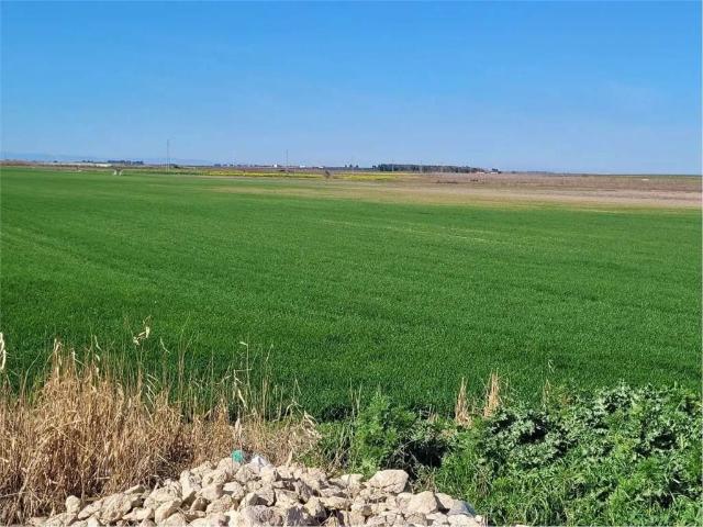 Rustico in vendita a Puglia, Foggia