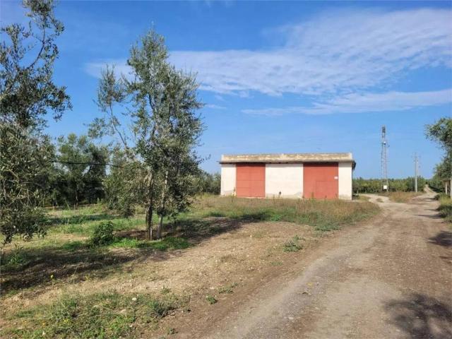 Rustico in vendita a Puglia, Foggia