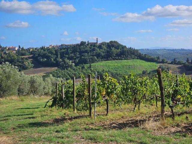 Rustico in vendita a Unione dei Comuni Circondario dell'Empolese Valdelsa, Lucardo