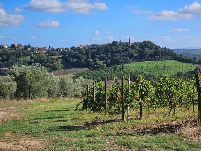 Rustico in vendita a Certaldo, Firenze