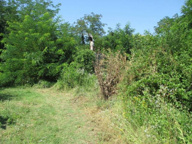 Rustico in vendita a Unione dei comuni Valle del Savio, Cesenà