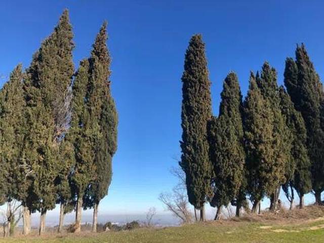 Rustico in vendita a Unione dei comuni Valle del Savio, Cesenà