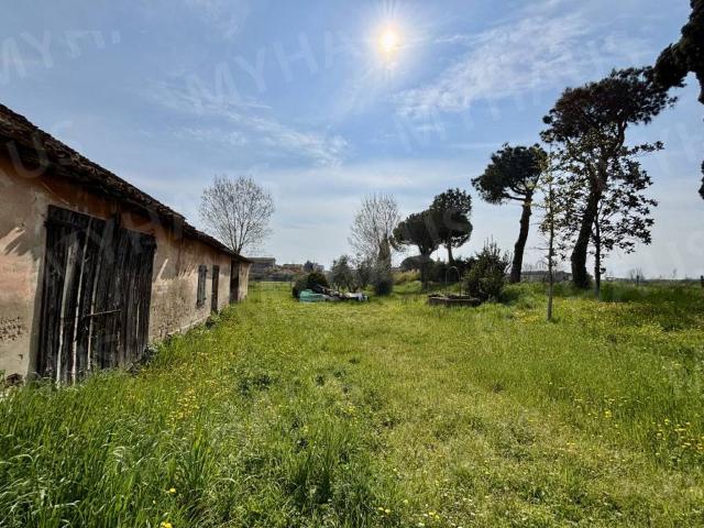 Rustico in vendita a Cesenatico, Reggio Emilia
