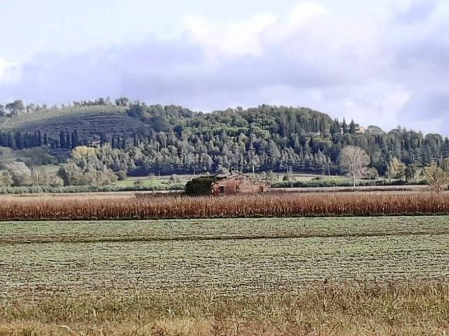 Rustico in vendita a Cetona, Toscana