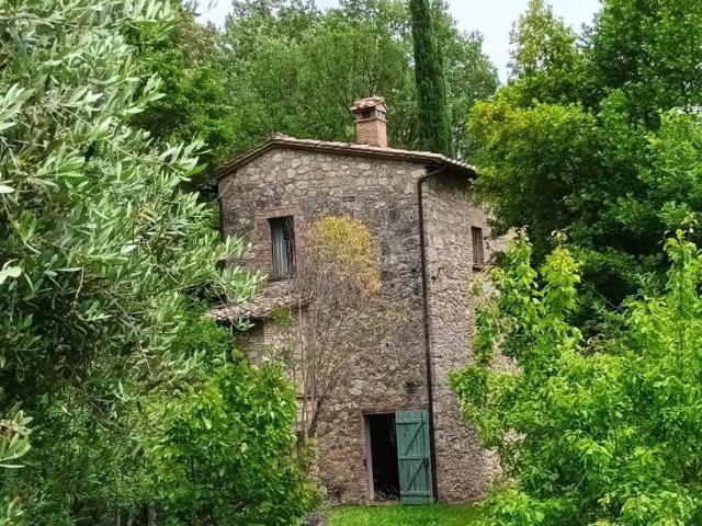 Rustico in vendita a Cetona, Toscana