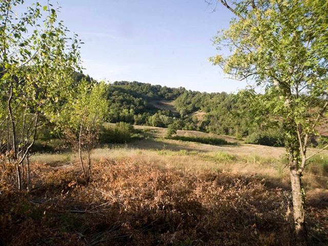 Rustico in vendita a Chiusdino, Toscana