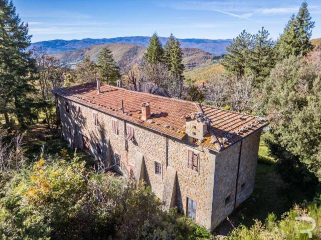 Rustico in vendita a Chiusi Della Verna, Toscana