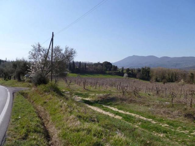 Rustico in vendita a Chiusi Città, Toscana